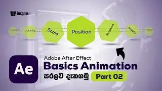 Adobe After Effect For Beginners | Basic Animations | Part 02 | Sinhala