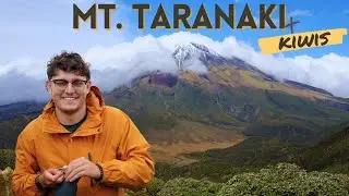 Exploring the North Island in New Zealand | Finding New Zealand's Native Birds (NZ Road Trip)