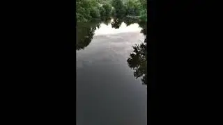 Привет пишите под видео варосы на 40 подписчиков я на них отвечу