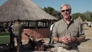 Safari Hunter's Journal: How Hunting Saves Wildlife