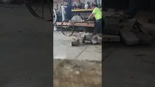 cutting some oak with a  119 year old Samson  buzz saw.