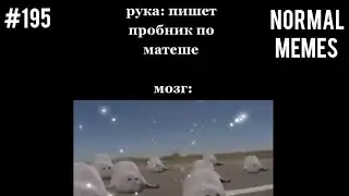 рука пишет пробник по матеше | мемы