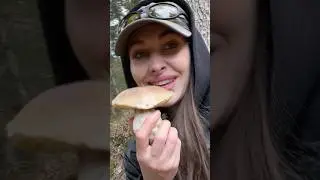 Carpathian porcini mushrooms 🍄‍🟫🍄‍🟫🍄‍🟫 I’m happy 🥰