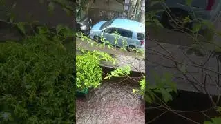 Rain Day