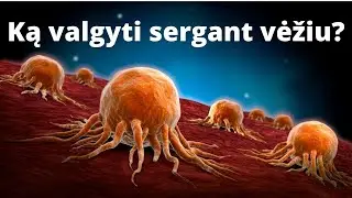 Ką valgyti sergant vėžiu? | Sveika mityba