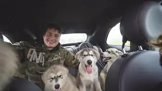 MET DE 3 PUPPIES NAAR DE DIERENARTS!