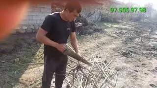 19-mart, 2023 Pavlonya kuchatlarini kuchirib beryabmiz
