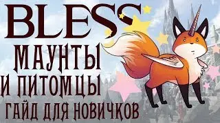 Bless Online. Система маунтов и питомцев.