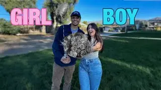 OFFICIAL GENDER REVEAL! 