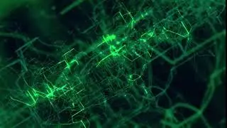 31 Fillmora Effects and Presets || Fillmora All Pack Effects || Fillmora Go For PC