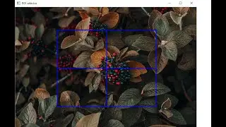 Draw Region of Interest ROI on an Image in OpenCV with Python