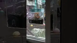 Где обедал воробей!
