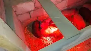 как поживают вьетнамчики))