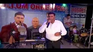 Seydi ok norma molo