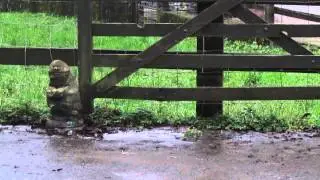 Jonathan Davies | Razor Crazy Kart