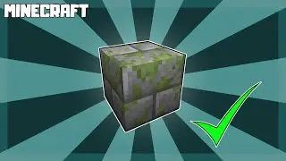 MINECRAFT | How to Make Mossy Stone Bricks! 1.16.5