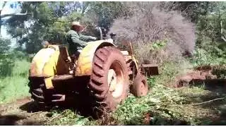 LIMPEZA NO QUINTAL COM CBT 1105 VOVÔ NO COMANDO  kkk