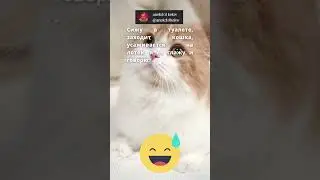 короткий смешной анекдот #прикол #короткиеанекдоты #смех