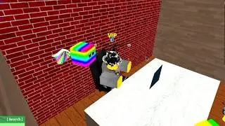 Koala Cafe Interviews ~ Helper POV