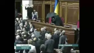 Это яйца!
