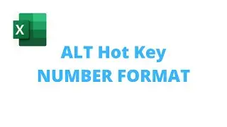 EXCEL TIPS: ALT Hot Key Number Format