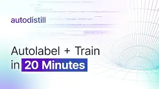 Autodistill: Label and Train a Computer Vision Model in Under 20 Minutes