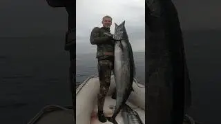 Disparé A Uno De Los Peces Más Rápidos Del Océano ⚡️