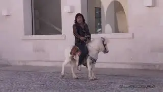 ALBERTANO EN PONY