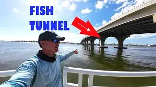 This Bridge is Loaded!! (POMPANO Fishing Tampa Florida)