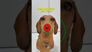 La MEJOR limpiadora!😂💖
