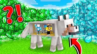 ELMAS TSUNAMİSİ VS KÖPEK! | Minecraft