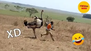 SI TE RÍES PIERDES NIVEL DIOS 