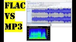 Flac vs Mp3 | See the difference