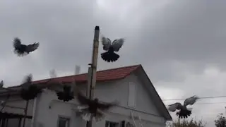 Чи можна передати дітям це вміння