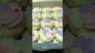 Vanilla Chiffon cupcakes