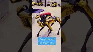 May the 4th Be With You | Boston Dynamics