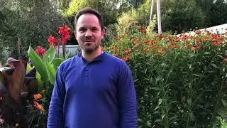 Отзыв о Селф-интенсиве. Алексей