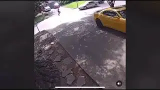 Car hits man running away from dog