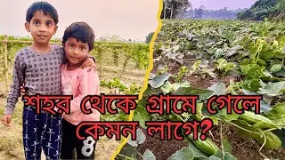 ভ্লগ করবো না ভেবেছিলাম 🙂‍↔️ গ্রামে গিয়ে ভ্লগ করতেই হল 🫠🫠🫠 . Village.