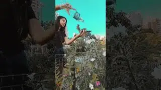 celular na flor #celular #criatividade #smartphone #flor