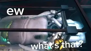What in the world is that? | Half-life 2 episode 1, part 1