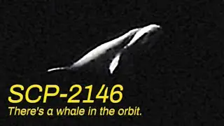 There's a whale in the orbit. | SCP 2146 Animation