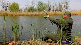 ЗАКИНУЛ УДОЧКУ ПОД КУСТ И...!!! ВОТ ЭТО РЫБАЛКА!!!