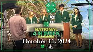 TWILA -- October 11, 2024