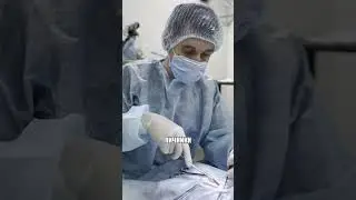 Стерилизация кошки Баси 