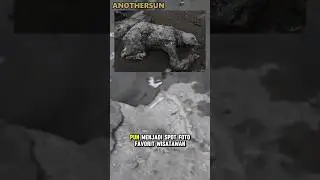 BATU MALIN KUNDANG PALSU??