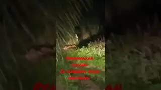 penampakan pocong di malam Jum'at #penampakan #jurig