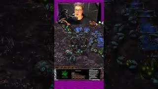 застройка от ЗЕРГА тащит #medoed #starcraft #старкрафт #медоед