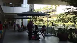 SBEnrc Project 1.5 - Singapore: Biophilic City (Movie)