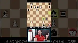 La Poderosa Pareja de Caballos!!!